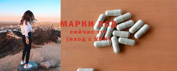 соль ск Каменка