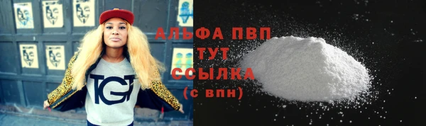 соль ск Каменка