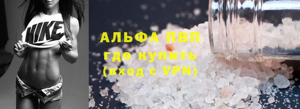 соль ск Каменка