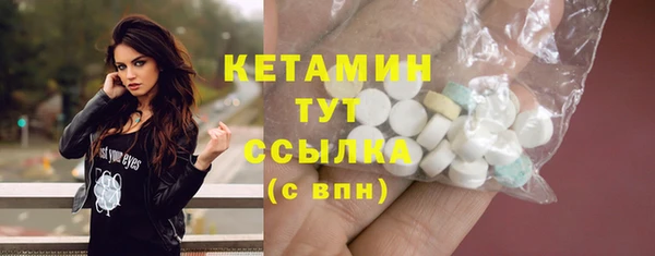 соль ск Каменка