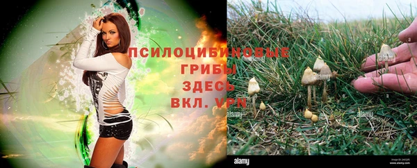 кокаин премиум Каменск-Шахтинский