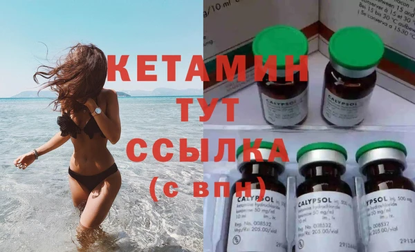соль ск Каменка